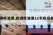 欧洲杯波黑,欧洲杯波黑12不敌乌克兰