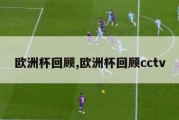 欧洲杯回顾,欧洲杯回顾cctv