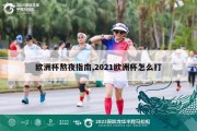 欧洲杯熬夜指南,2021欧洲杯怎么打