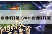 欧洲杯打架（2020欧洲杯打架）