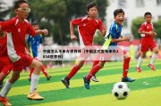 中国怎么不申办世界杯（中国正式宣布申办2034世界杯）