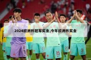 2024欧洲杯冠军奖金,今年欧洲杯奖金