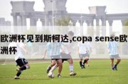 欧洲杯见到斯柯达,copa sense欧洲杯