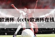 cctv欧洲杯（cctv欧洲杯在线直播）