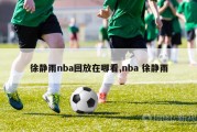 徐静雨nba回放在哪看,nba 徐静雨