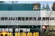 欧洲杯2023赛程表积分,欧洲杯2028