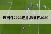 欧洲杯2023还是,欧洲杯2030