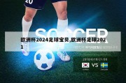 欧洲杯2024足球宝贝,欧洲杯足球2021