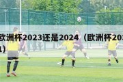 欧洲杯2023还是2024（欧洲杯2031）