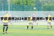 c罗欧洲杯2024波兰,欧洲杯c罗走啦