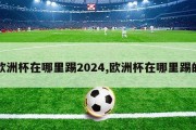 欧洲杯在哪里踢2024,欧洲杯在哪里踢的