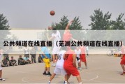 公共频道在线直播（芜湖公共频道在线直播）