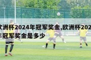 欧洲杯2024年冠军奖金,欧洲杯2024年冠军奖金是多少